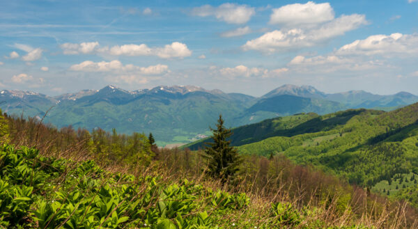 Jarní Veľká Fatra - Image 7