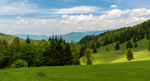 Jarní Veľká Fatra - Image 9