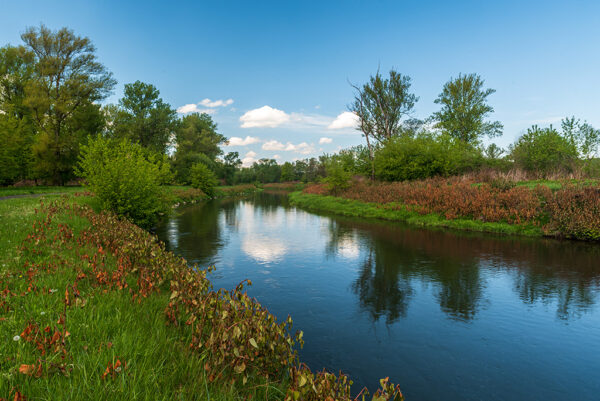 Olse near Vernovice