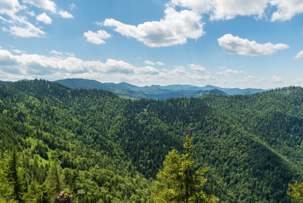 Jarní Veľká Fatra - Image 3