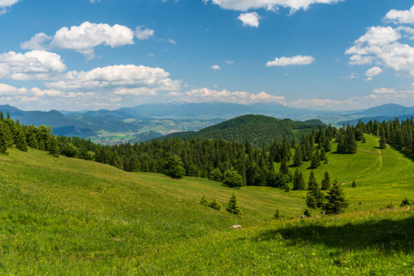 Jarní Veľká Fatra - Image 4