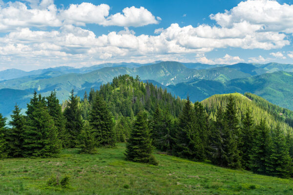 Jarní Veľká Fatra - Image 5