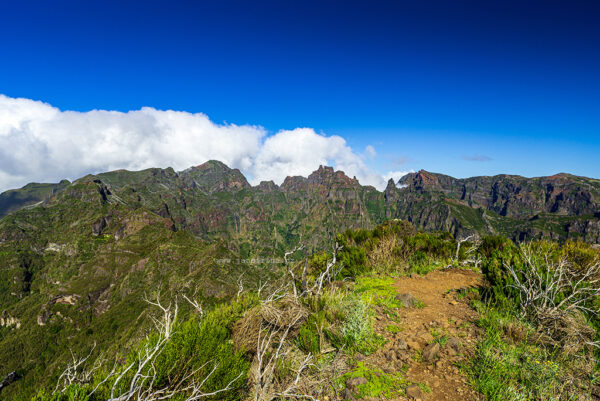 Pico do Jorge