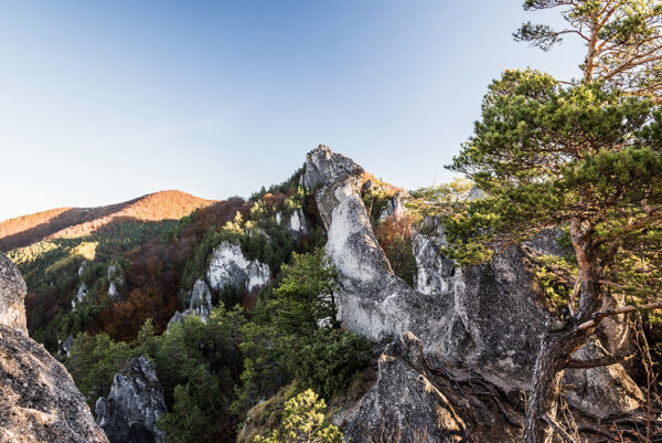 Above Goticka brana in Sulovske skaly