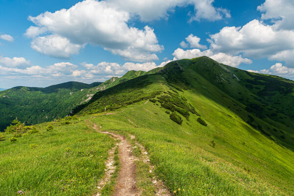 Above sedlo Priehyb