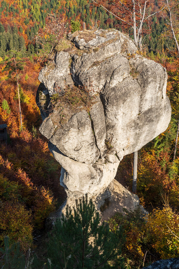 Zbynovsky budzogan