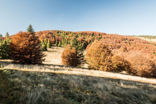 Podzim v Beskydech - Image 9